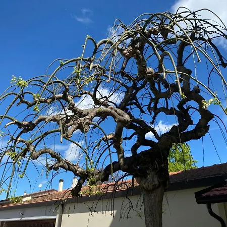 Montevecchi13 3* Imola