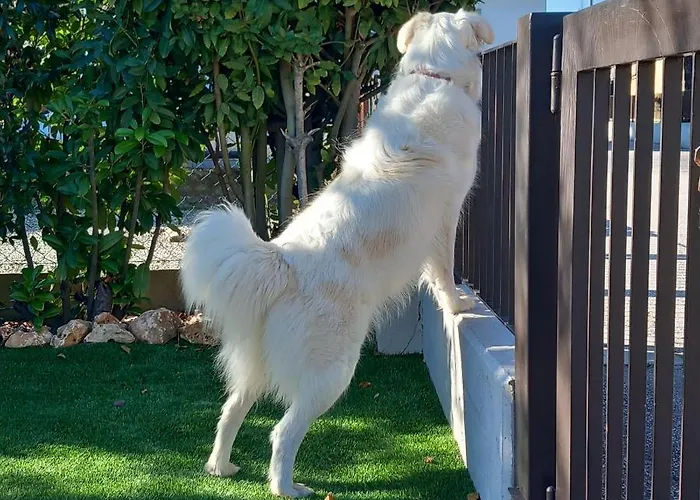 Oda ve Kahvaltı Montevecchi13 Imola